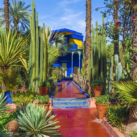 yves saint laurent blue garden|jardin majorelle google maps.